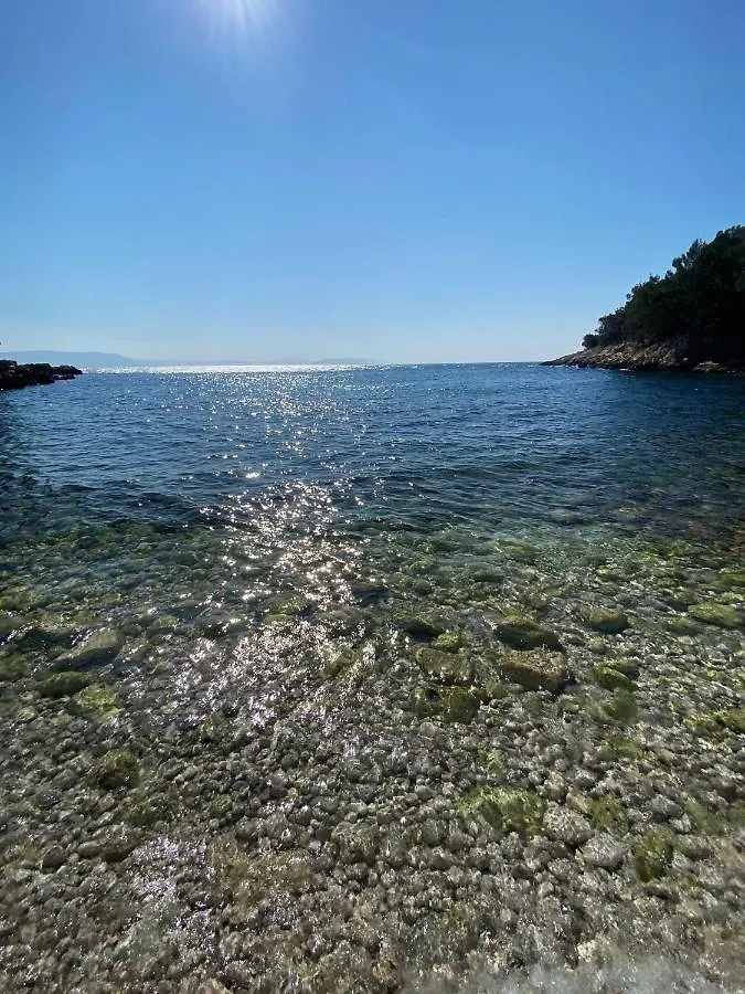 Wellness House Oliva With Heated Salt Water Pool, Sauna & Jakuzzi Labin  Villa