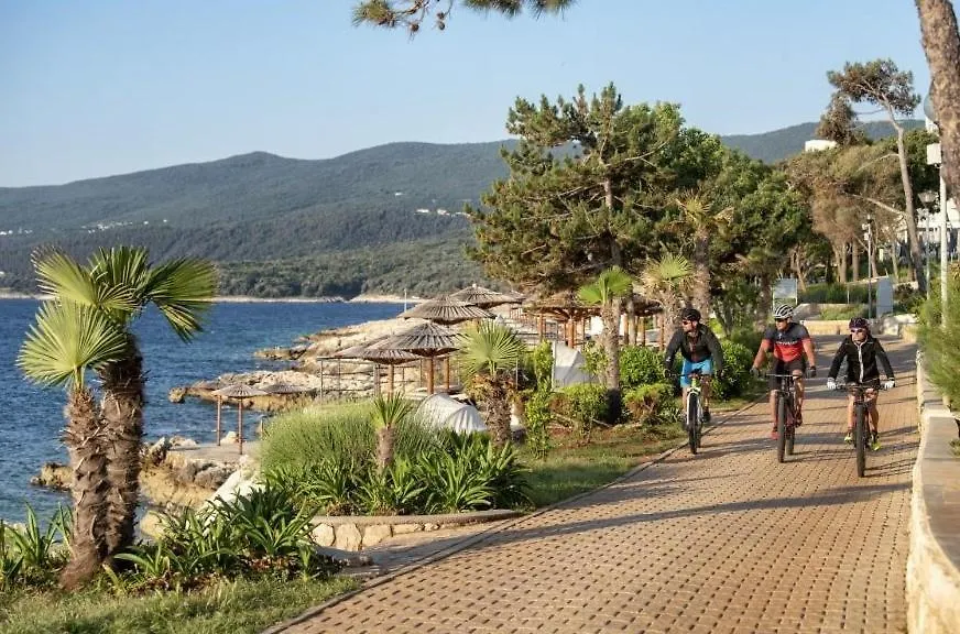 Wellness House Oliva With Heated Salt Water Pool, Sauna & Jakuzzi Labin  Villa