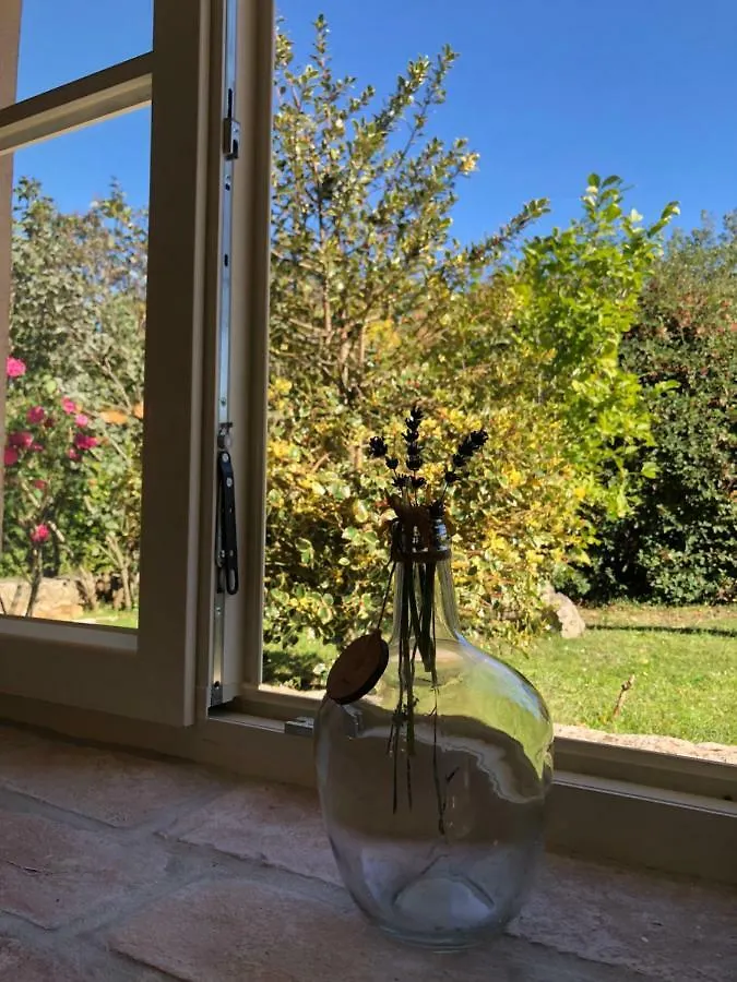 Villa Wellness House Oliva With Heated Salt Water Pool, Sauna & Jakuzzi Labin